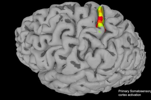 الهام از سیستم بینایی انسان برای بازشناسی اشیاء 